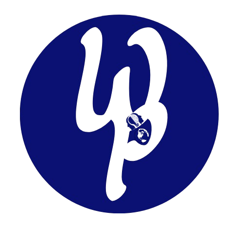 Wonton Consulting Logo